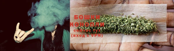 МДПВ Липки