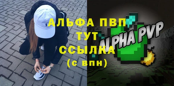 ECSTASY Чекалин
