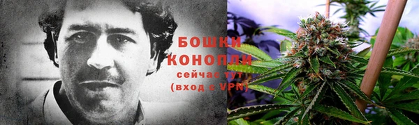 МДПВ Липки