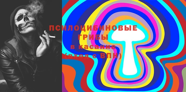МДПВ Липки