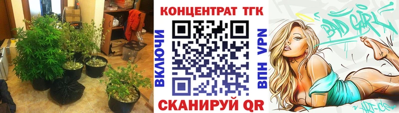 ТГК THC oil  Владикавказ 