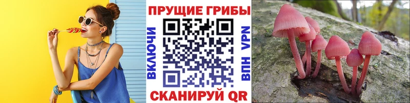 Псилоцибиновые грибы Psilocybine cubensis  дарнет шоп  Владикавказ 