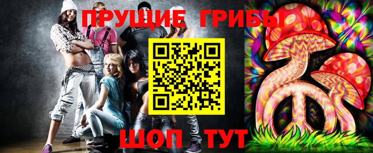 Владикавказ  Псилоцибиновые грибы Psilocybine cubensis  Вход с VPN 