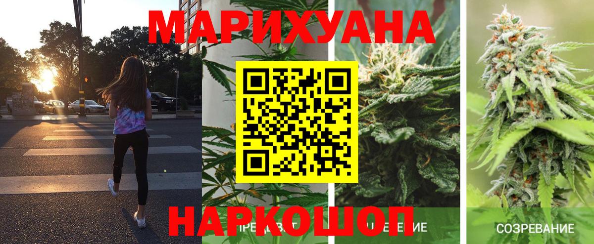 Шишки марихуана конопля Владикавказ